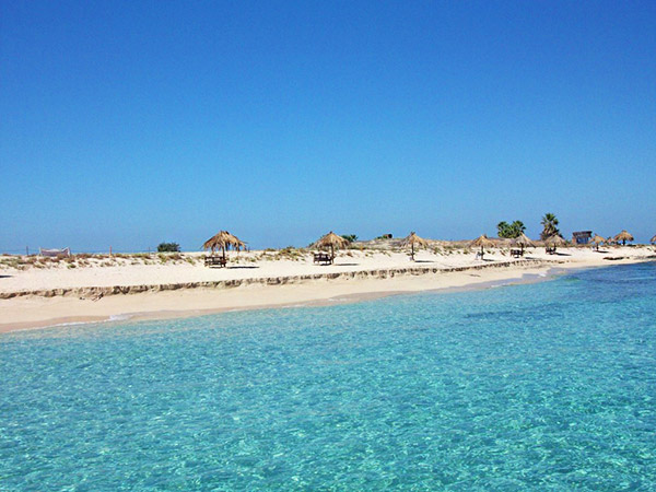 Coast Nature Reserve, Tyre